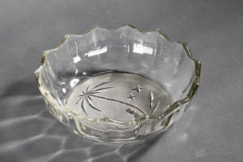 misa palma hortensja