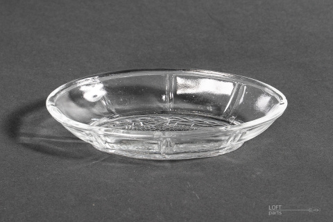 śledziówka hortensja 111