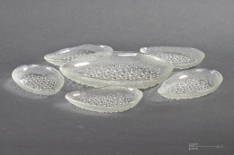 Herring plates Asteroid Jan Sylwester Drost