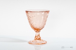 Kashmir Cup Eryka Trzewik Drost