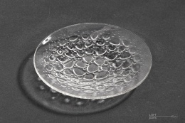 Plate cat's heads Eryk Trzewik Drozt