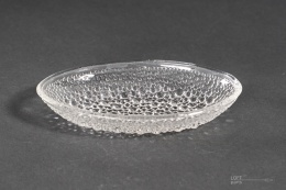 Asteroid Herring plate Jan Sylwester Drost