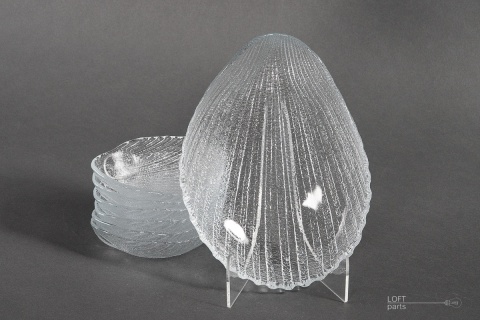 cardidae ząbkowice fiedorowicz