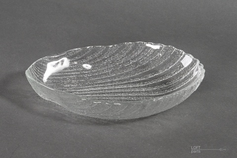 śledziówka cardidae ludwik fiedorowicz