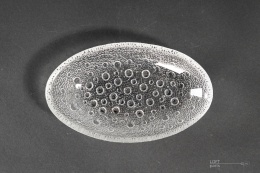 asteroid drost ząbkowice