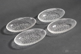 śledziówki asteroid jan sylwester drost