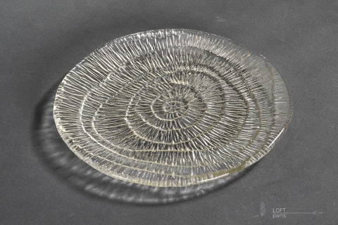 patera skamielina eryka trzewik drost