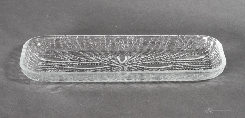 tacka jeż morski  eryka trzewik drost