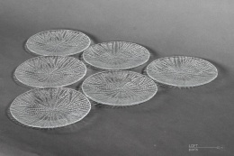 talerzyki jeż morski eryka trzewik drost