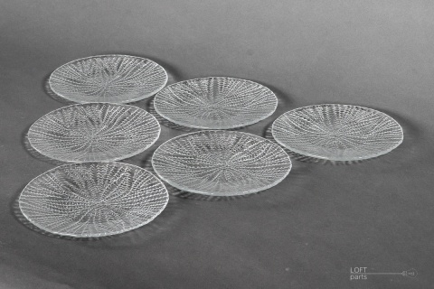 sea urchins eryka trzewik drost