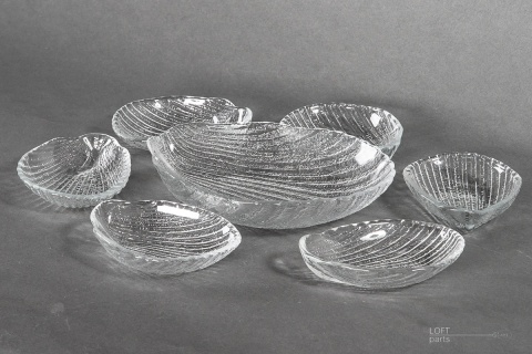 salaterki cardidae ludwik fiedorowicz