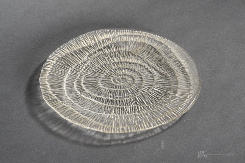 patera skamielina eryka trzewik drost