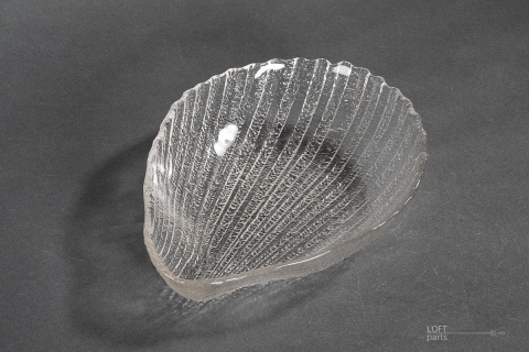 śledziówka cardidae ludwik fiedorowicz