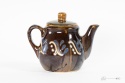 teapot ceramic boleslawiec plants