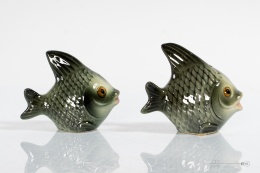 fish spicers