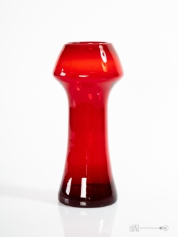 a vase of funghi zbigniew horbowy